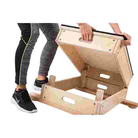 Sport-Thieme Jump-Strength Trainer - Image 2