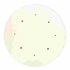 Sport-Thieme Varussell Enlarging Disc