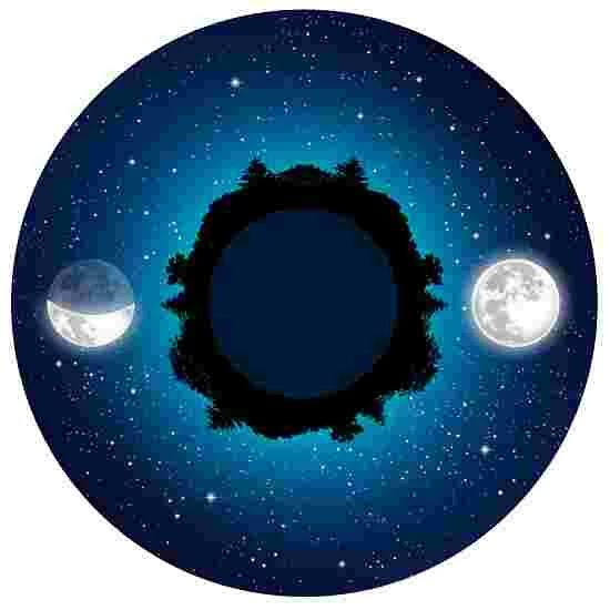 Sport-Thieme Effect Wheel - Image 6