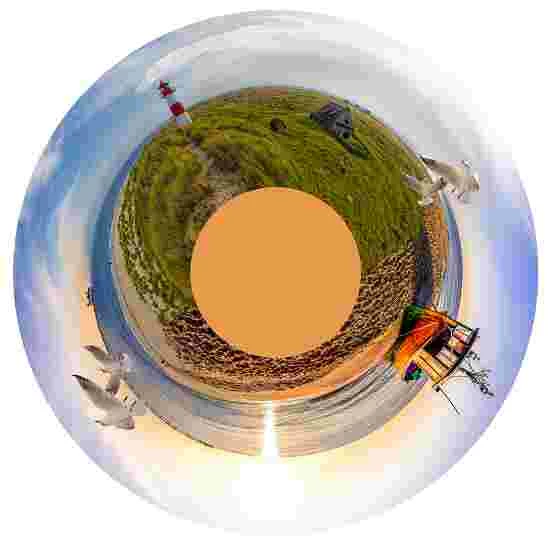 Sport-Thieme Effect Wheel - Image 9