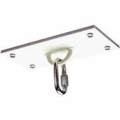 Sport-Thieme Ceiling Mount With D-Ring