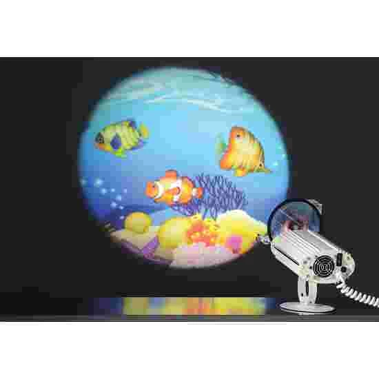 Sport-Thieme Projector For Effect Wheels