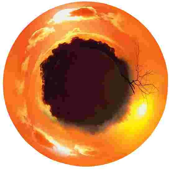 Sport-Thieme Effect Wheel