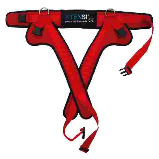 Sport-Thieme Harness For XTENSi Bungee Swing - Image 2