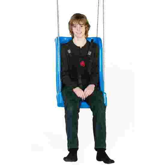 TFH Safety Swinging Chair